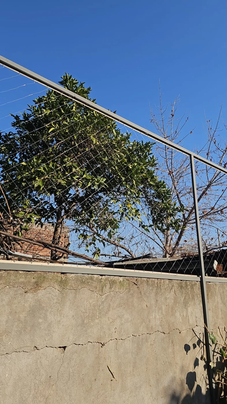 Cierre superior de malla instalado sobre una pandereta para proteger gatos